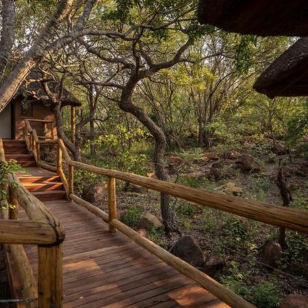 ואלווטר Tshwene Lodge מראה חיצוני תמונה