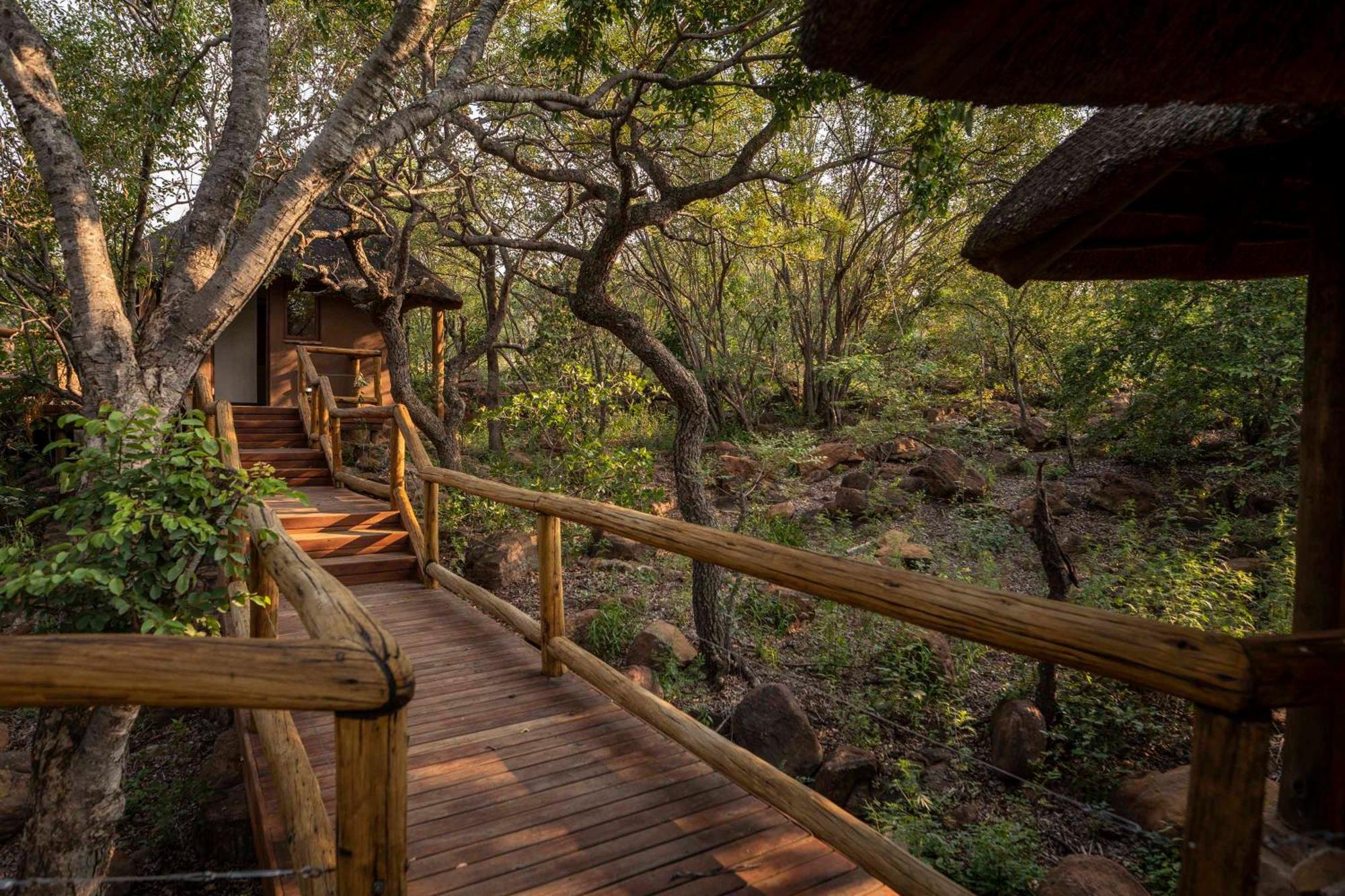 ואלווטר Tshwene Lodge מראה חיצוני תמונה