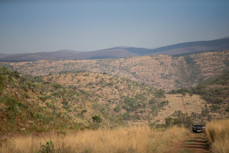ואלווטר Tshwene Lodge מראה חיצוני תמונה